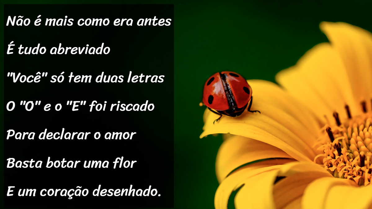Projeto Cordel Moderno